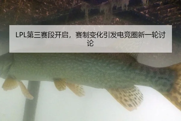 LPL第三赛段开启，赛制变化引发电竞圈新一轮讨论