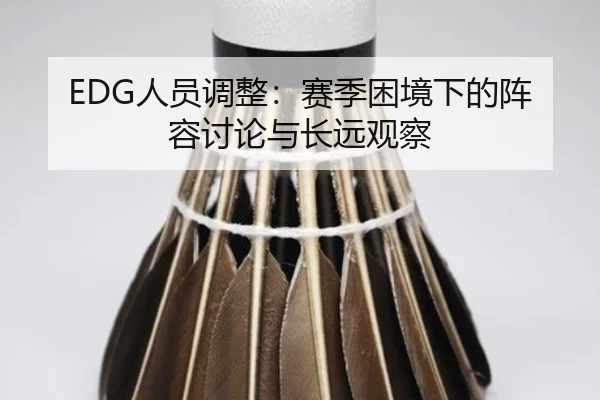 EDG人员调整：赛季困境下的阵容讨论与长远观察